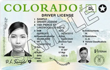 Tipos de Licencia de Conducir en Estados Unidos (1)