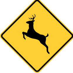 Deer crossing in area - road - RealidadUSA