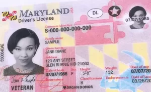licencias de maryland Carros en Estados Unidos