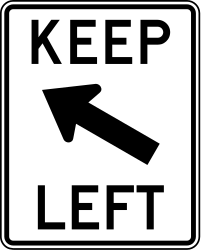 Passing left compulsory - RealidadUSA