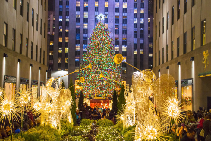 Best Christmas trees in new york city.