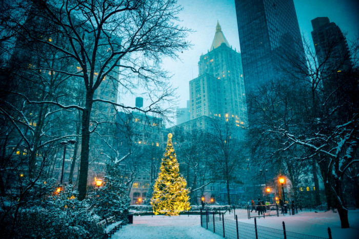 best New York Christmas trees