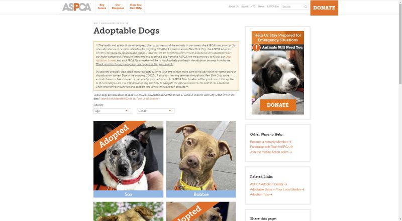 ASPCA adoption website