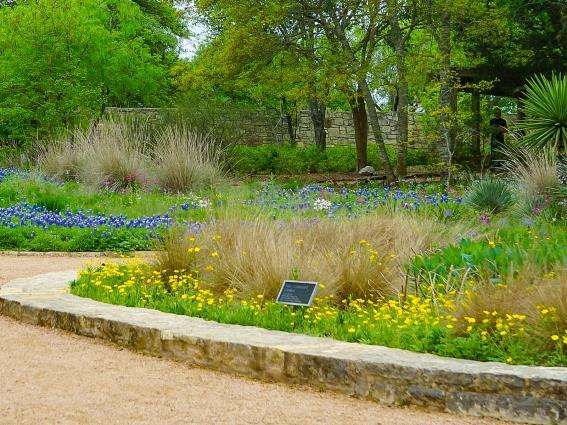 Lady Bird Johnson Wildflower Center, una de las mejores cosas que hacer en Austin