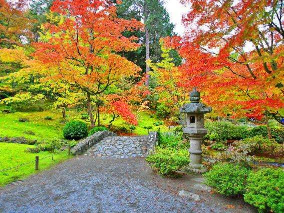 Seattle Japanese Garden, una de las mejores cosas que hacer en Seattle
