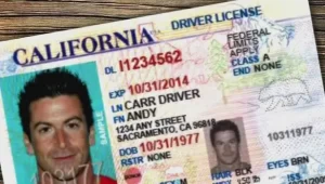 Como rastrear mi licencia de conducir en California Carros en Estados Unidos