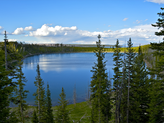 La vasta área del lago Yellowstone en Wyoming es uno de los mejores lagos de los Estados Unidos, rodeado de altos pinos verdes