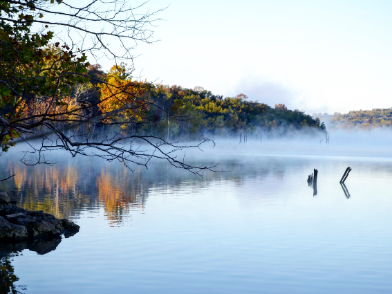 Los árboles durante las nieblas de otoño y la mañana se reflejaron en el agua estancada en uno de los mejores lagos de los Estados Unidos, Table Rock Lake en Missouri y Arkansas.