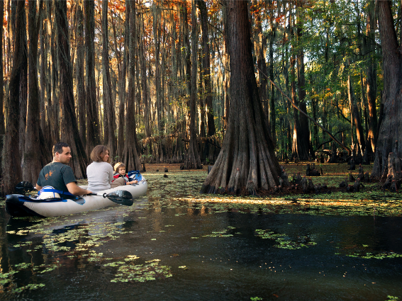 Una familia de tres en remar un bote inflable entre los viejos cipreses en el lago Caddo en Texas y Louisiana, nombrado como uno de los mejores lagos de los Estados Unidos.