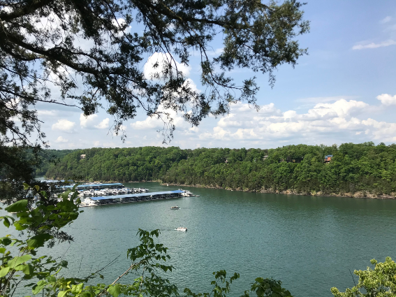 Varios barcos atracaron en un muelle en el lago Cumberland en Kentucky, uno de los mejores lagos de los Estados Unidos, rodeado de exuberantes zonas verdes.