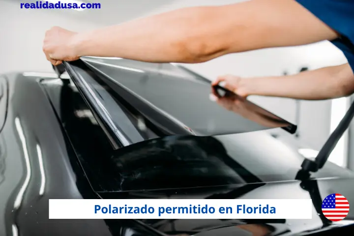 Polarizado permitido en Florida