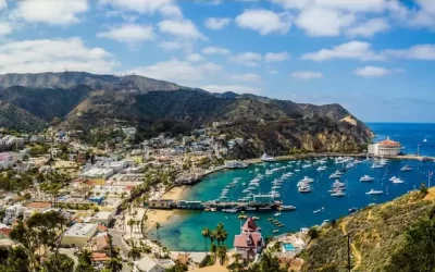 Que necesito para ir a Isla Catalina: Guía actualizada