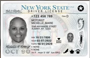 tipos de licencia de conducir en new york