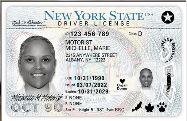 Cuántos tipos de licencia de conducir existen en New York y cuánto cuesta obtener cada una: Guía completa