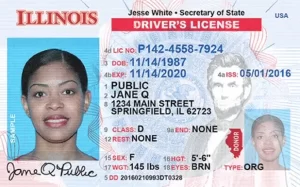 requisitos para sacar licencia de conducir en chicago illinois