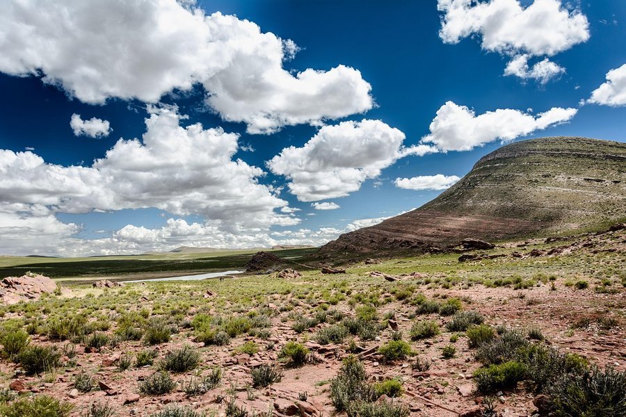desierto de Arizona bajo un cielo azul, simbolizando las temperaturas extremas de la región. Un vasto desierto de Arizona bajo un cielo azul, simbolizando las temperaturas extremas de la región.