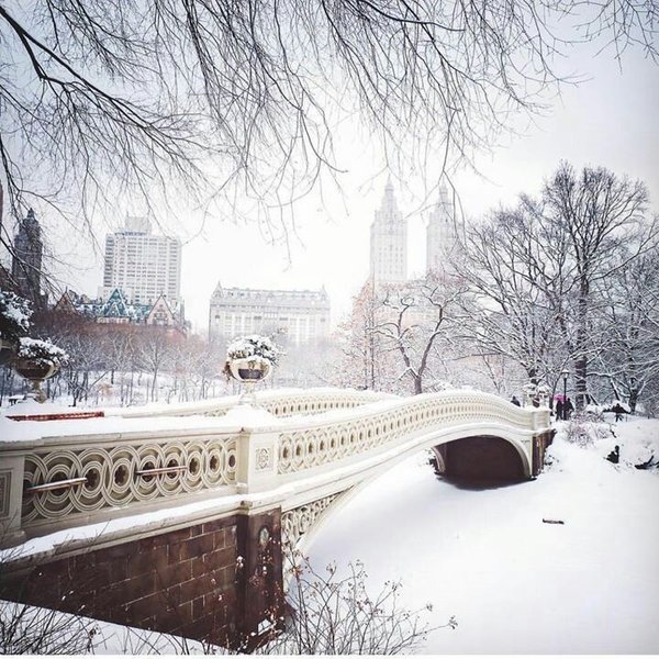 Central Park cubierto de nieve, una postal invernal de Nueva York Central Park cubierto de nieve, una postal invernal de Nueva York.